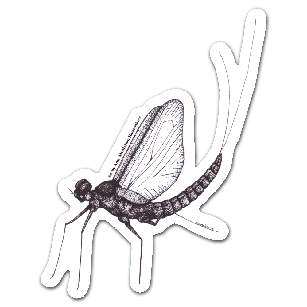 Download PNG image - Mayfly PNG File 
