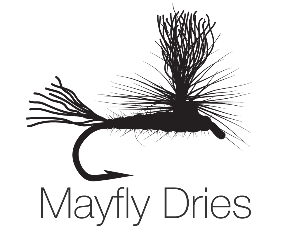 Download PNG image - Mayfly PNG HD 