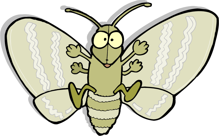 Download PNG image - Moth PNG Picture 