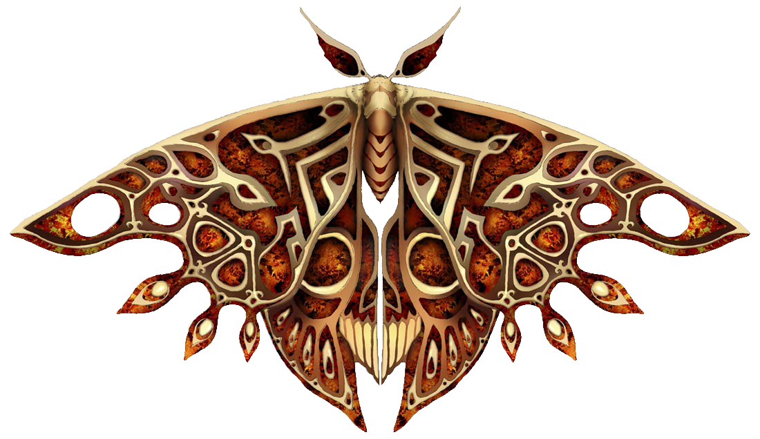 Download PNG image - Moth Transparent Images PNG 