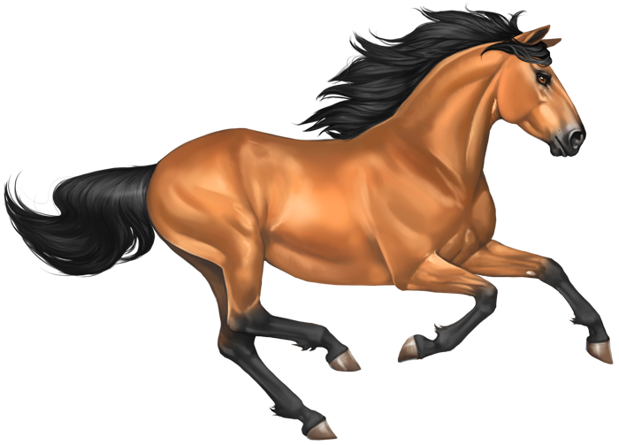 Download PNG image - Mustang Horse PNG Image 