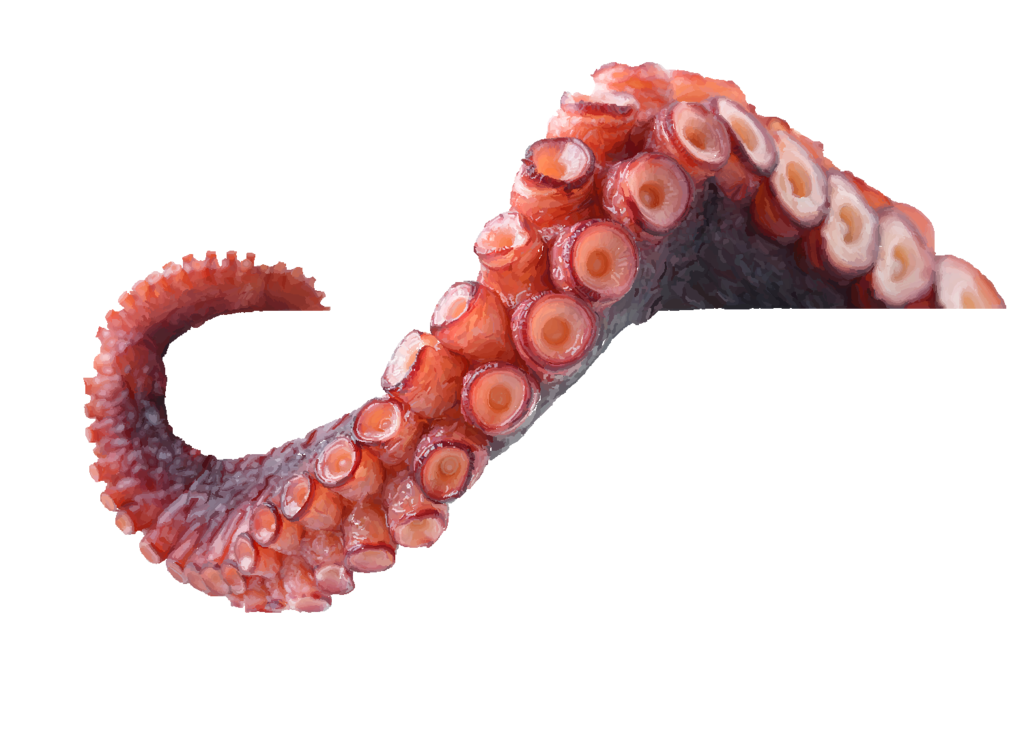 Download PNG image - Octopus Tentacles PNG Photo 