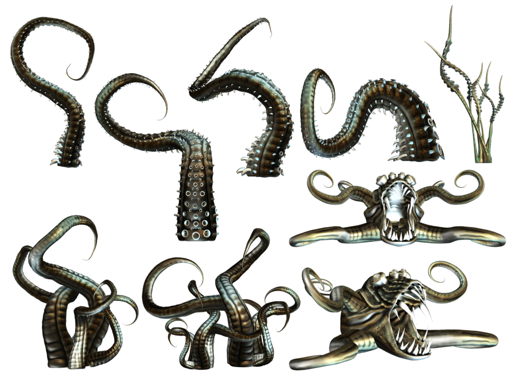 Download PNG image - Octopus Tentacles PNG Transparent 