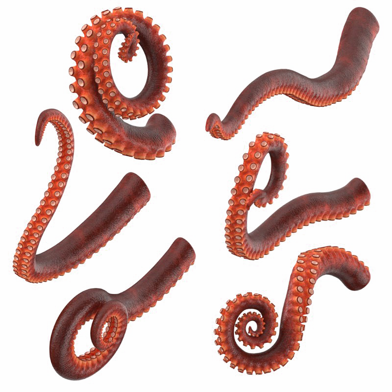 Download PNG image - Octopus Tentacles Transparent PNG 