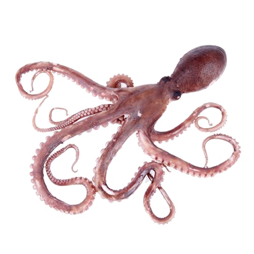 Download PNG image - Octopus Toy PNG Clipart 