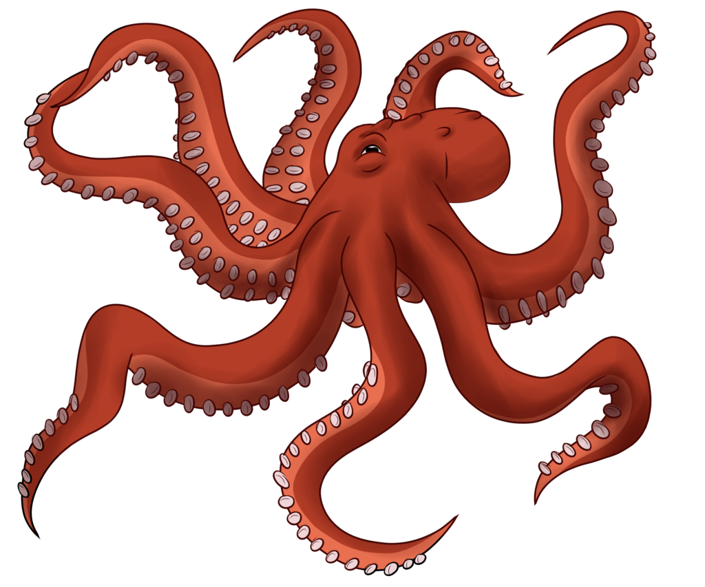 Download PNG image - Octopus Toy PNG Image 