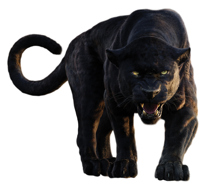 Download PNG image - Panther PNG Clipart 