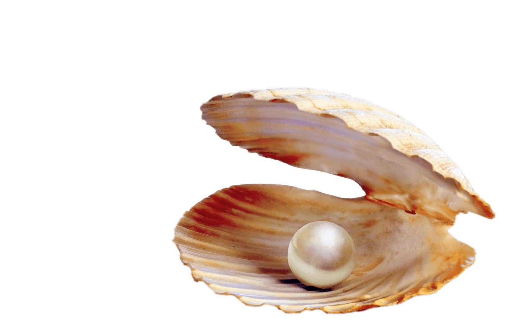 Download PNG image - Pearl PNG Photo 