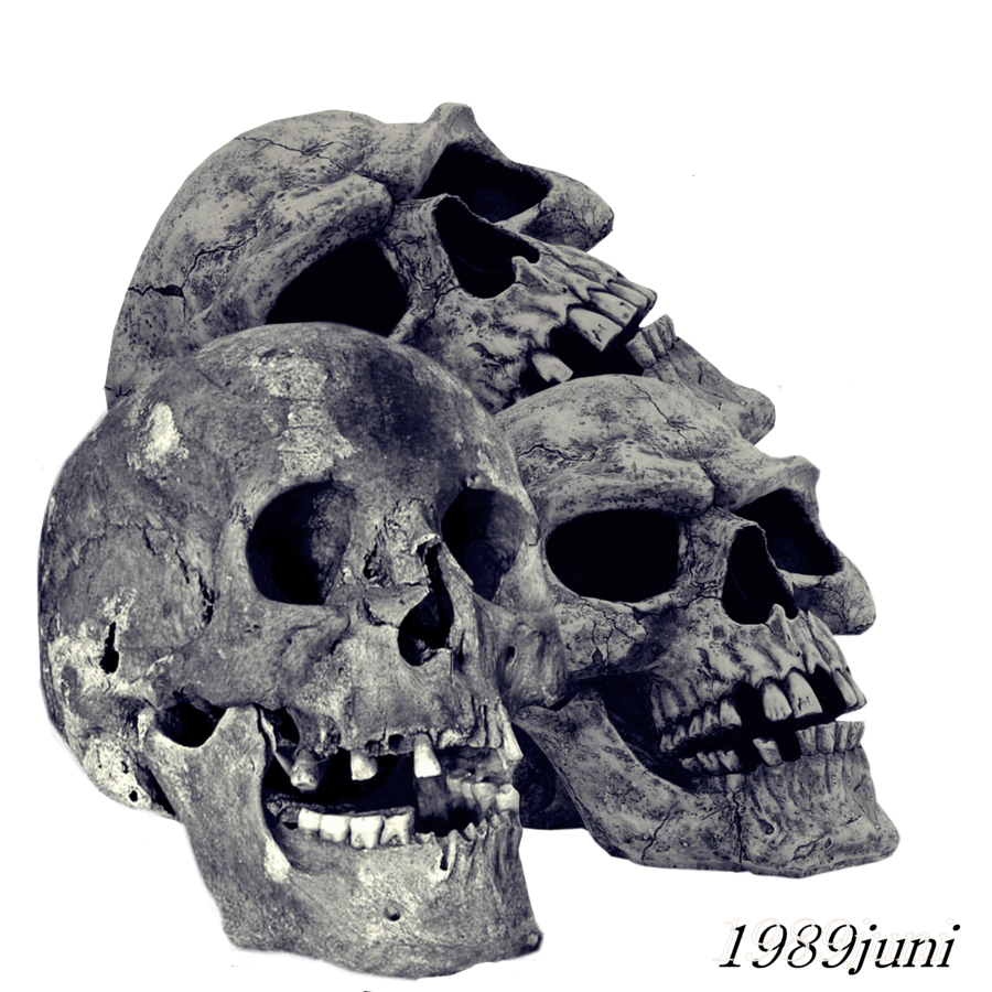 Download PNG image - Pile of Skulls PNG Transparent Image 