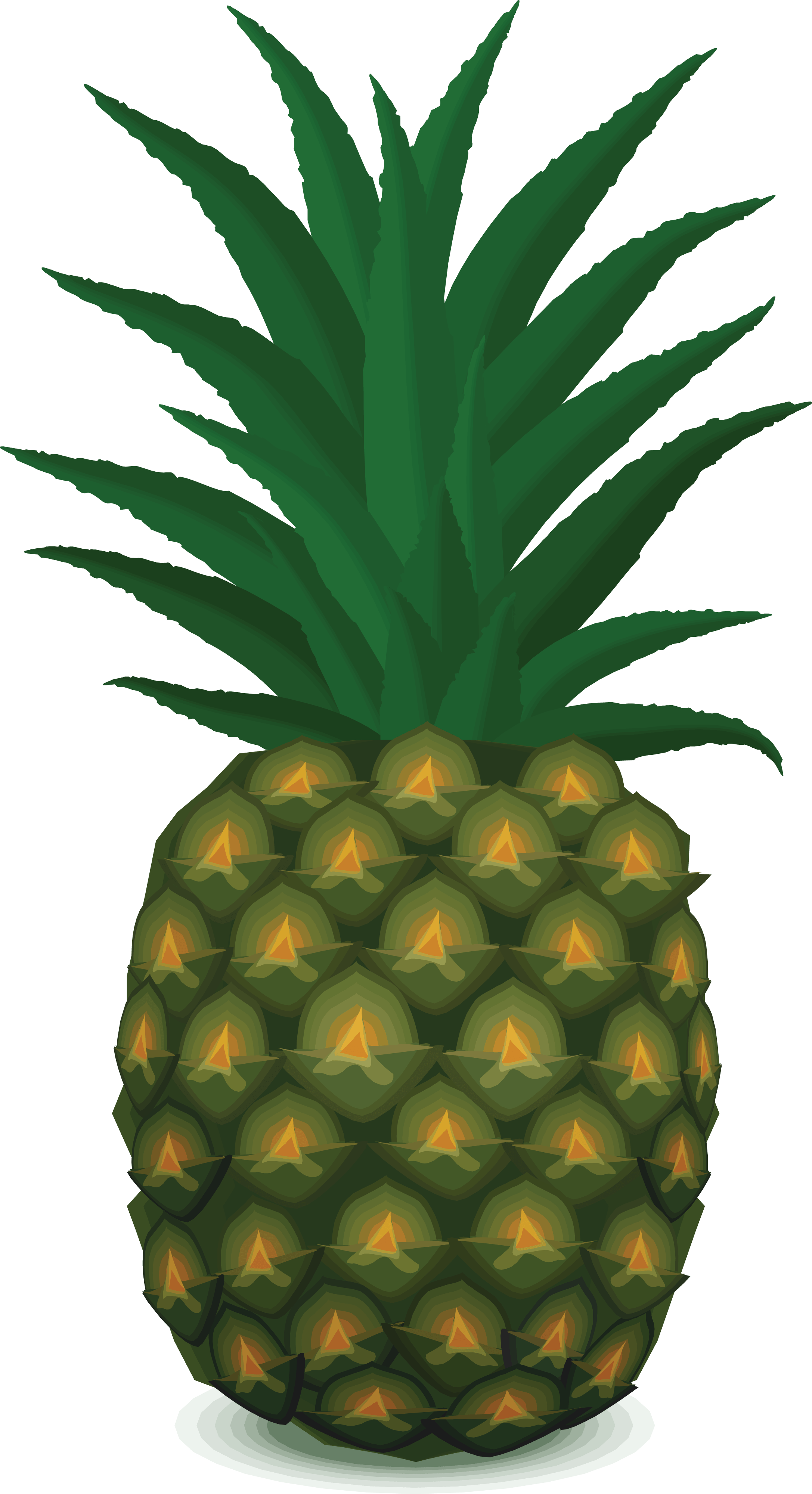 Download PNG image - Pineapple PNG Download Image 