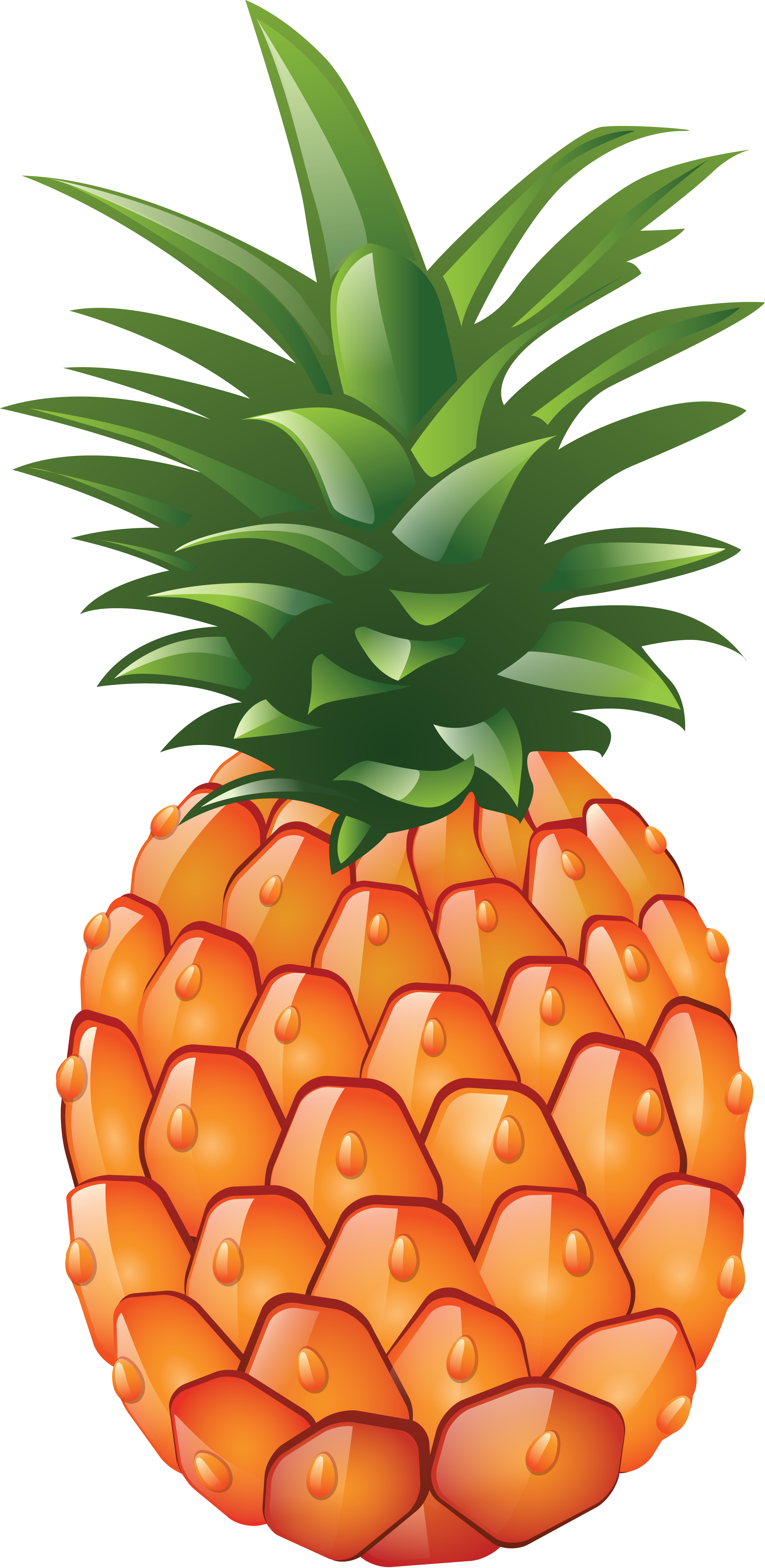 Download PNG image - Pineapple PNG HD Photo 