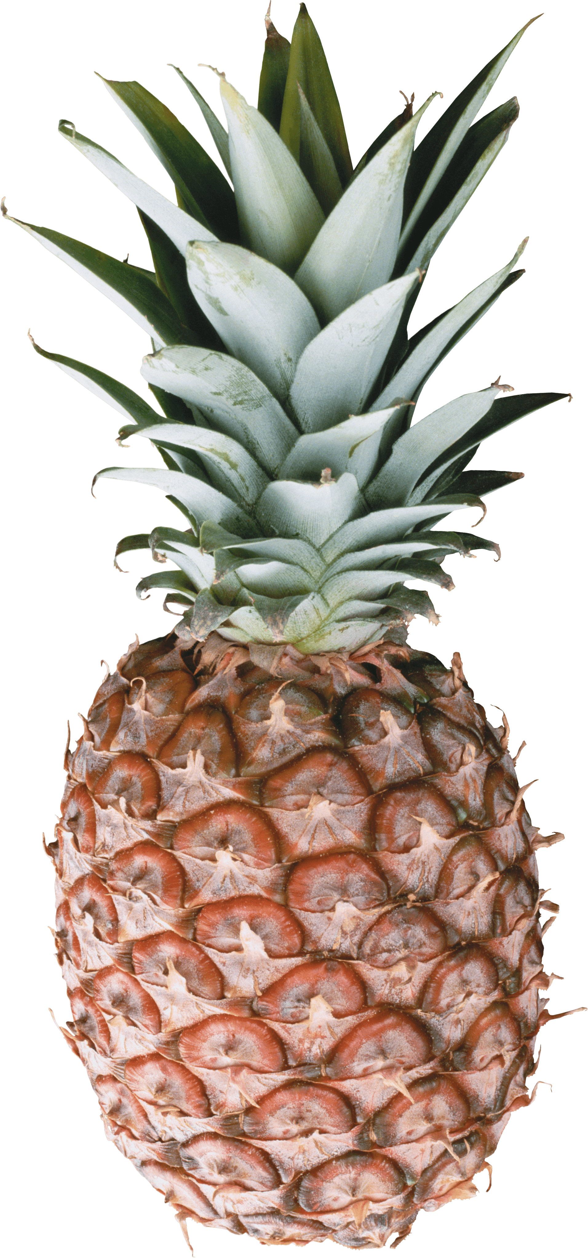 Download PNG image - Pineapple PNG Image Free Download 