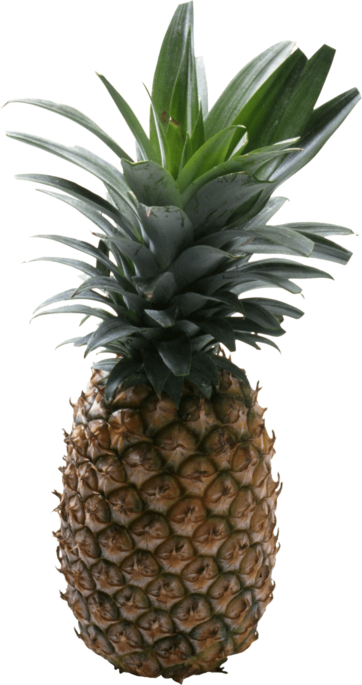 Download PNG image - Pineapple PNG No Background 