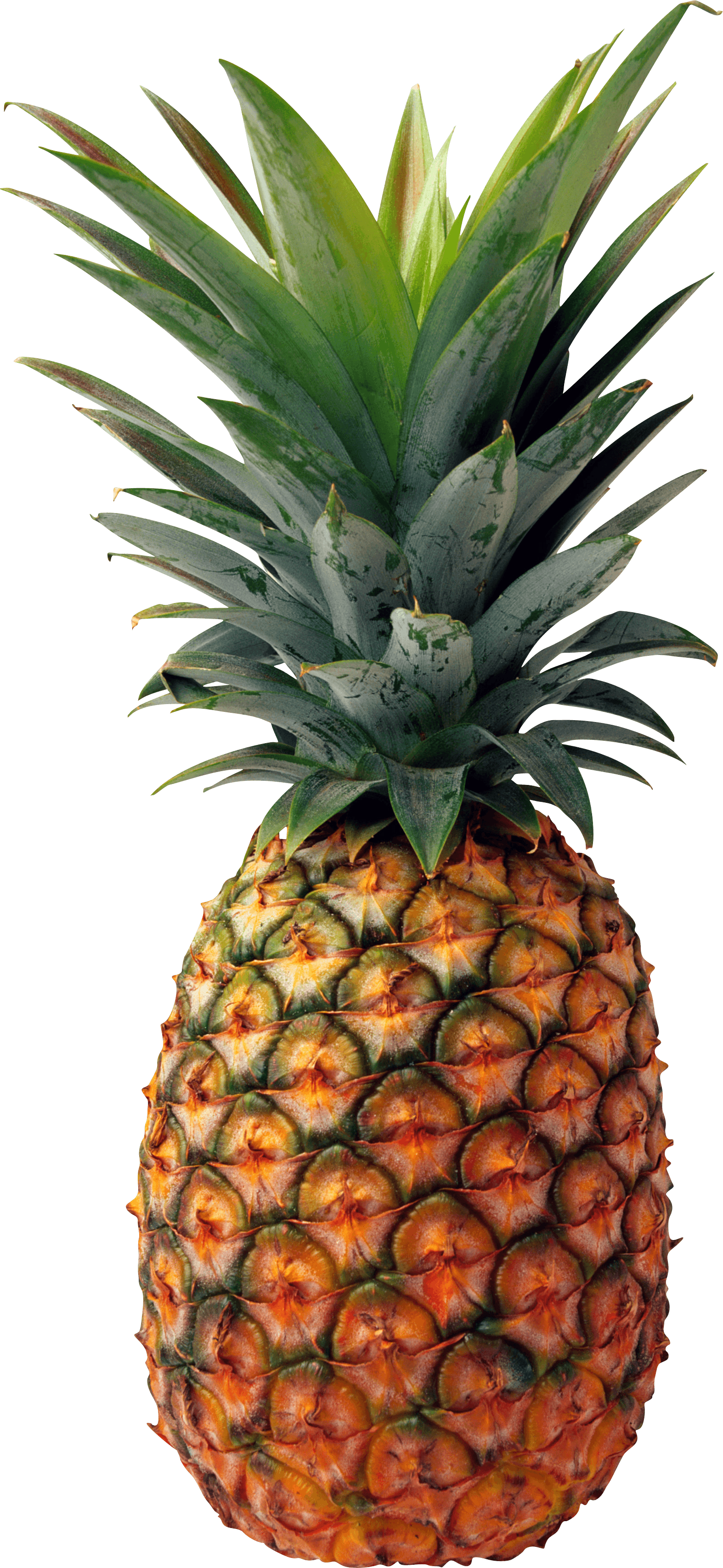 Download PNG image - Pineapple PNG Transparent Background 