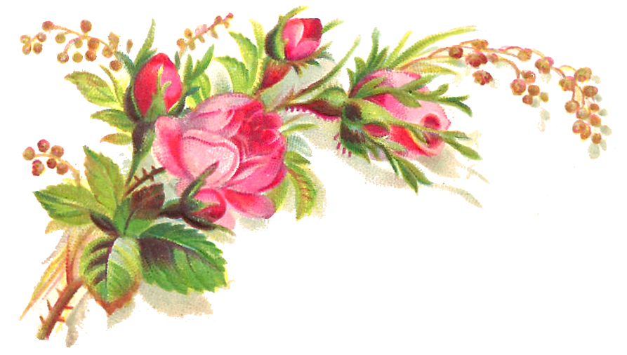 Download PNG image - Pink Roses Flowers Bouquet Transparent Background 