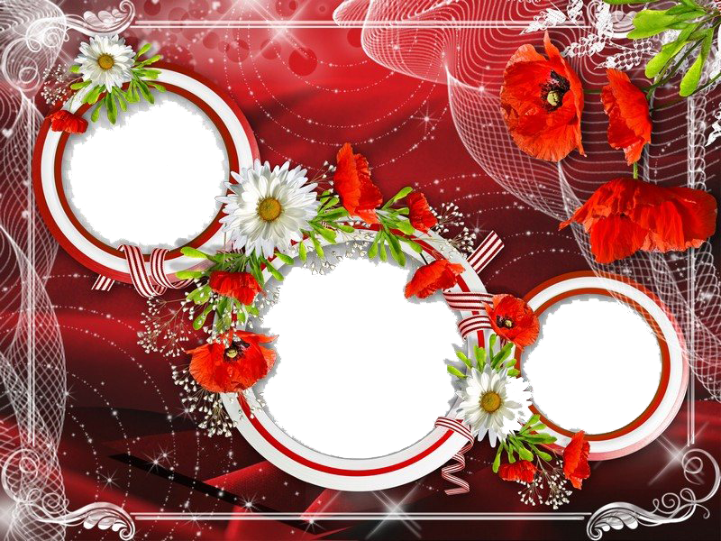 Download PNG image - Poppy Flower Frame PNG Image 