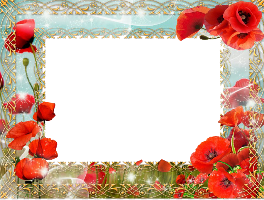 Download PNG image - Poppy Flower Frame PNG Photo 