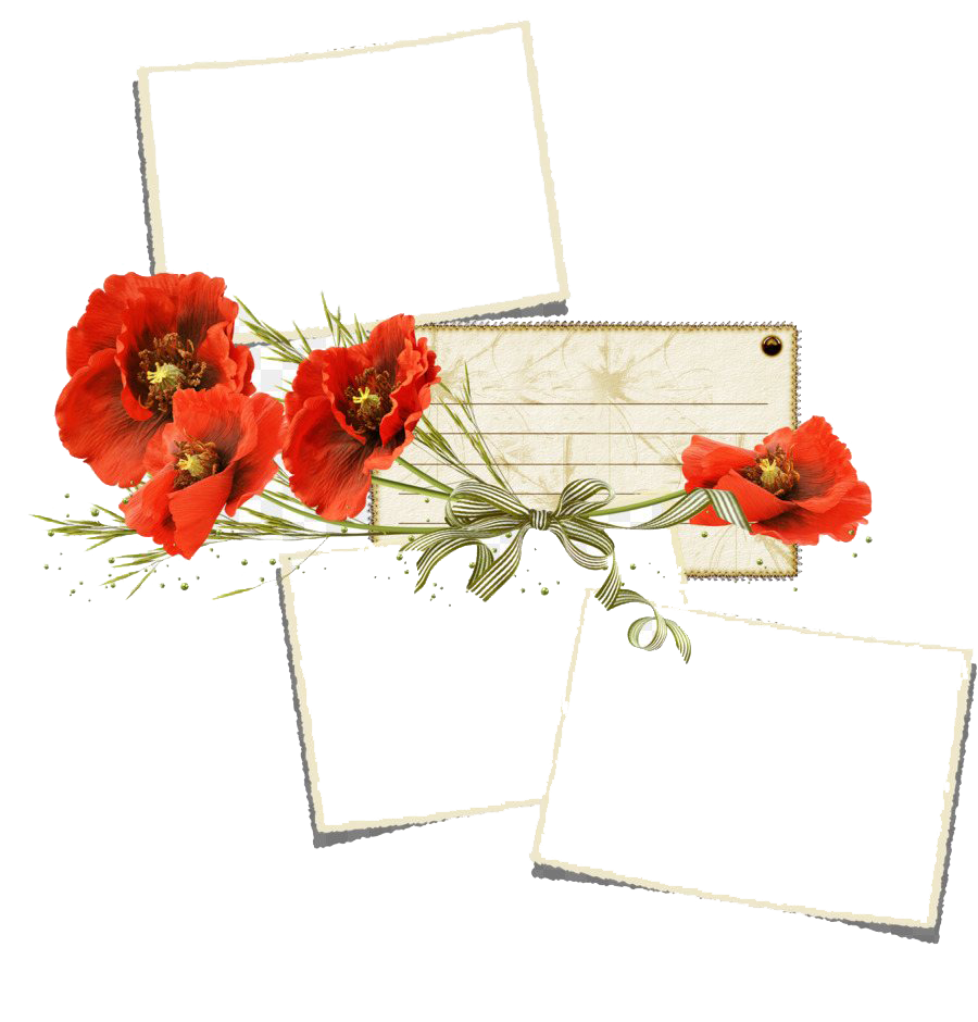 Download PNG image - Poppy Flower Frame PNG Transparent 