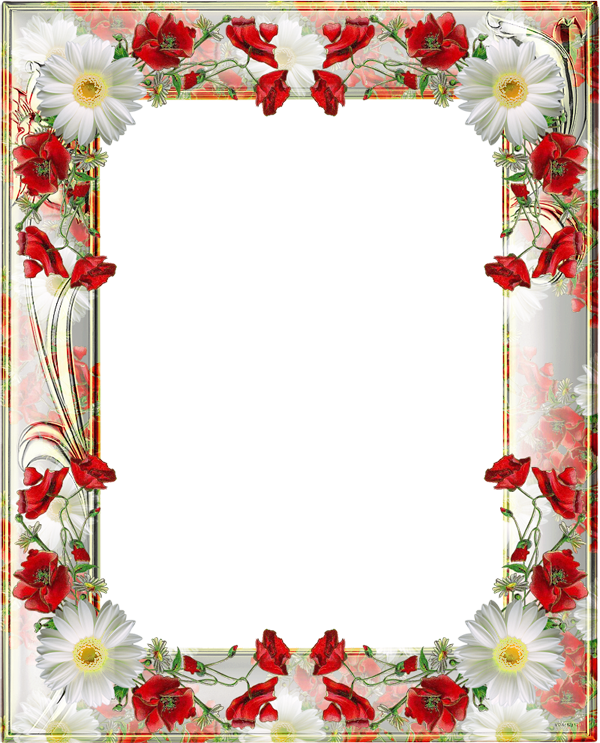 Download PNG image - Poppy Flower Frame Transparent Background 