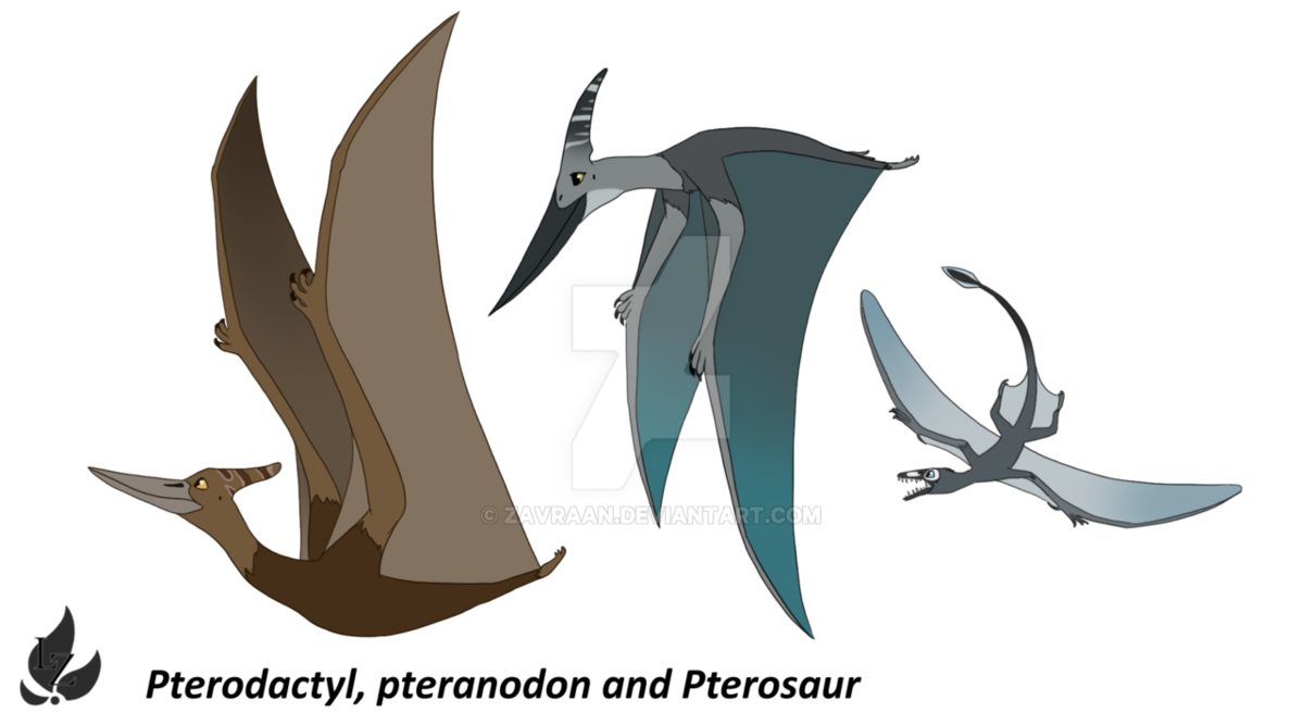 Download PNG image - Pterosaurs Background PNG 