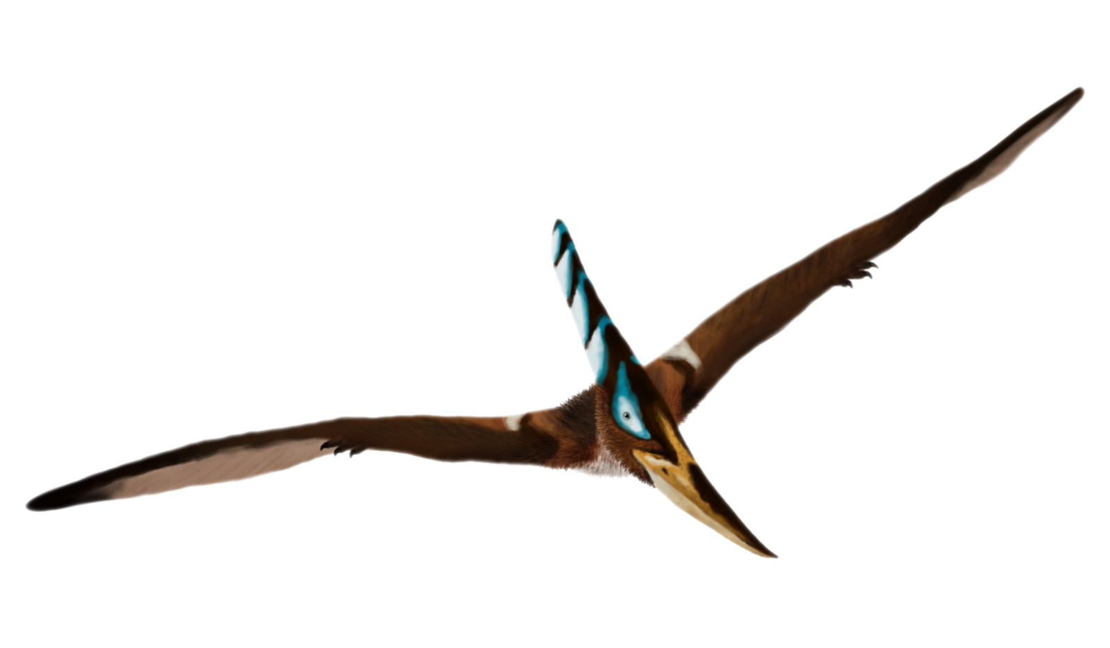 Download PNG image - Pterosaurs Download PNG Image 