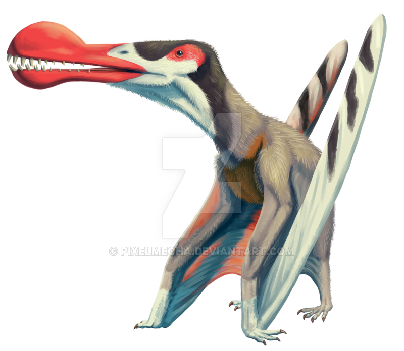 Download PNG image - Pterosaurs PNG Free Download 