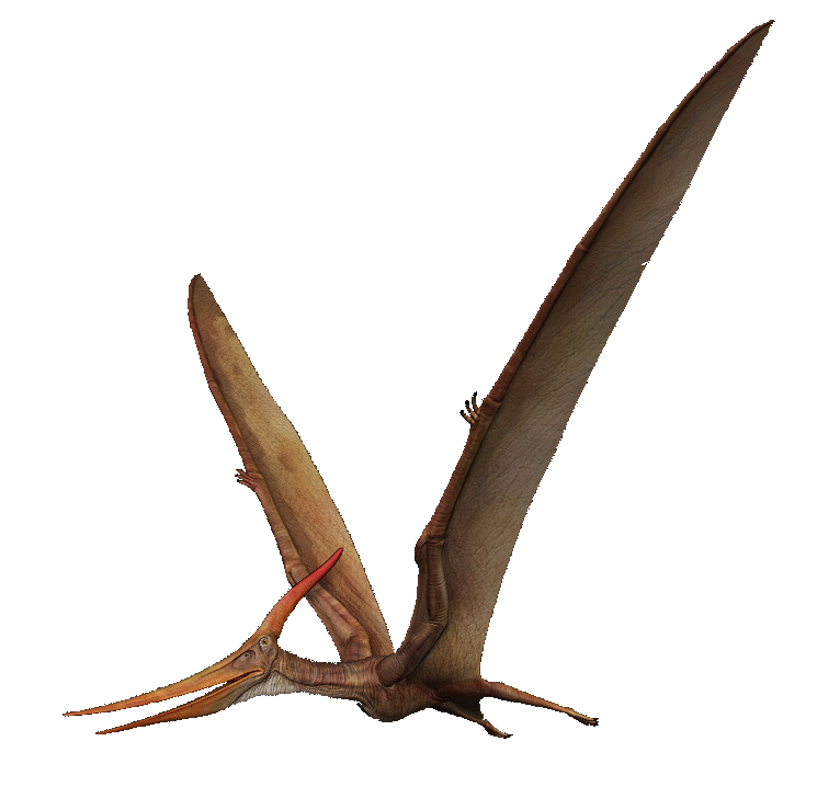 Download PNG image - Pterosaurs PNG Transparent Picture 