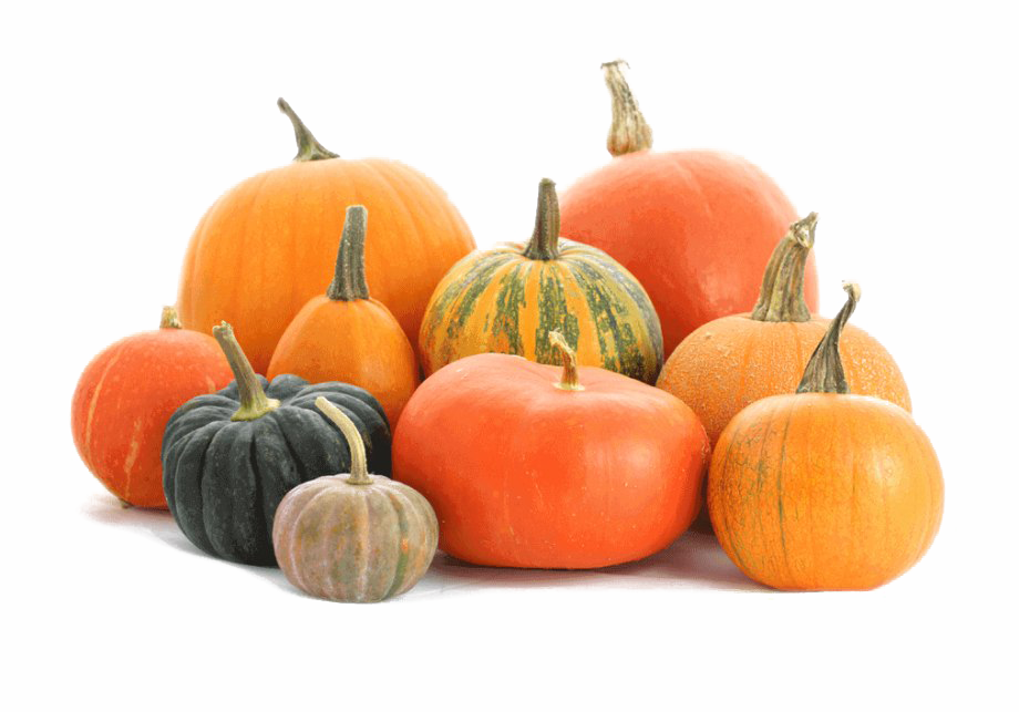 Download PNG image - Pumpkin Patch PNG HD 