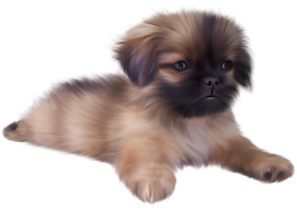 Download PNG image - Puppy PNG File 