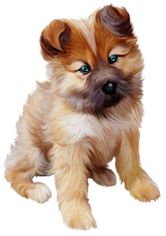 Download PNG image - Puppy PNG Photos 