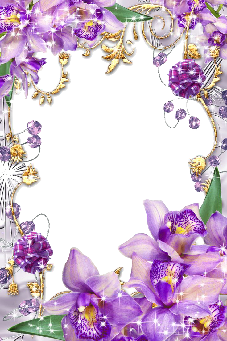 Download PNG image - Purple Border Frame PNG Transparent Image 