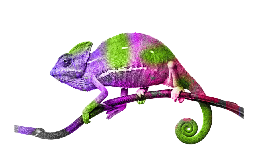 Download PNG image - Purple Lizard PNG Picture 
