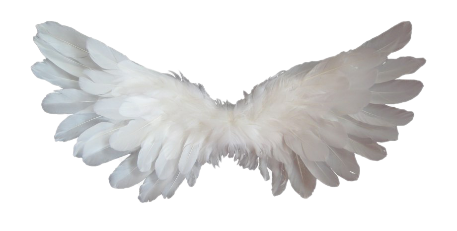 Download PNG image - Realistic Angel Wings PNG Clipart 