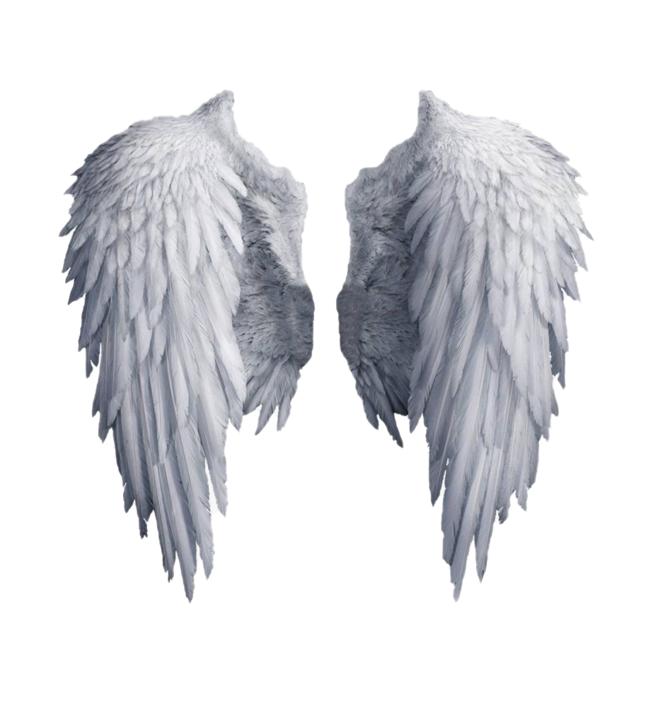 Download PNG image - Realistic Angel Wings PNG Image 