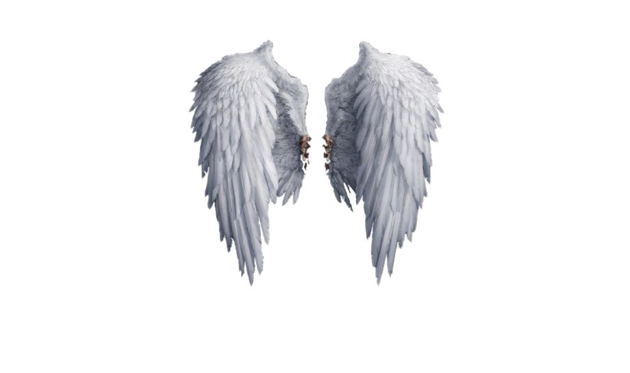 Download PNG image - Realistic Angel Wings PNG Photos 