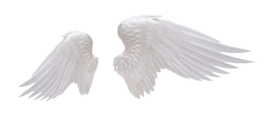 Download PNG image - Realistic Angel Wings PNG Transparent Image 