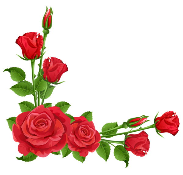 Download PNG image - Red Flower Frame PNG Free Download 