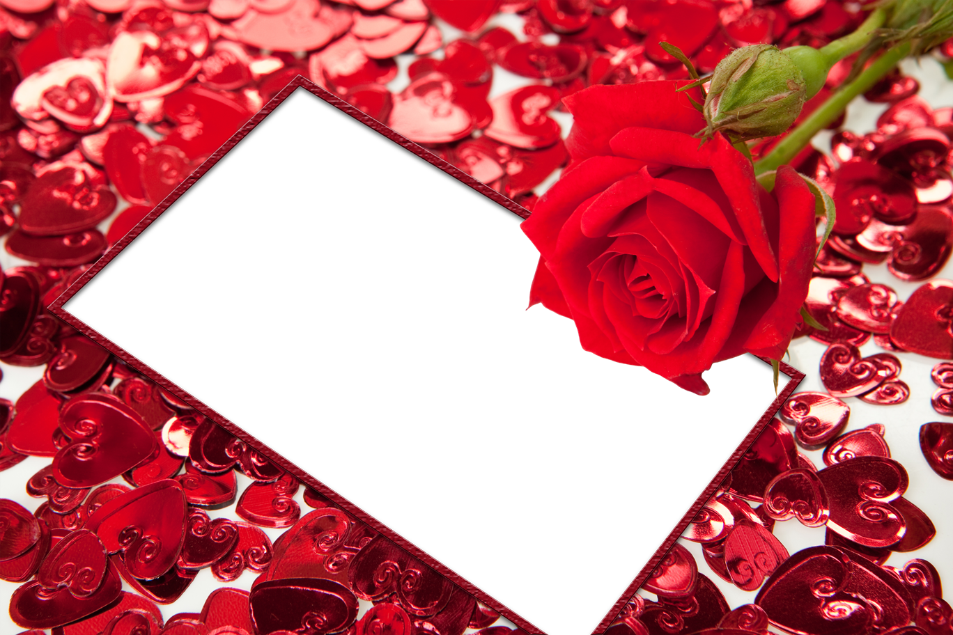 Download PNG image - Red Flower Frame PNG HD 