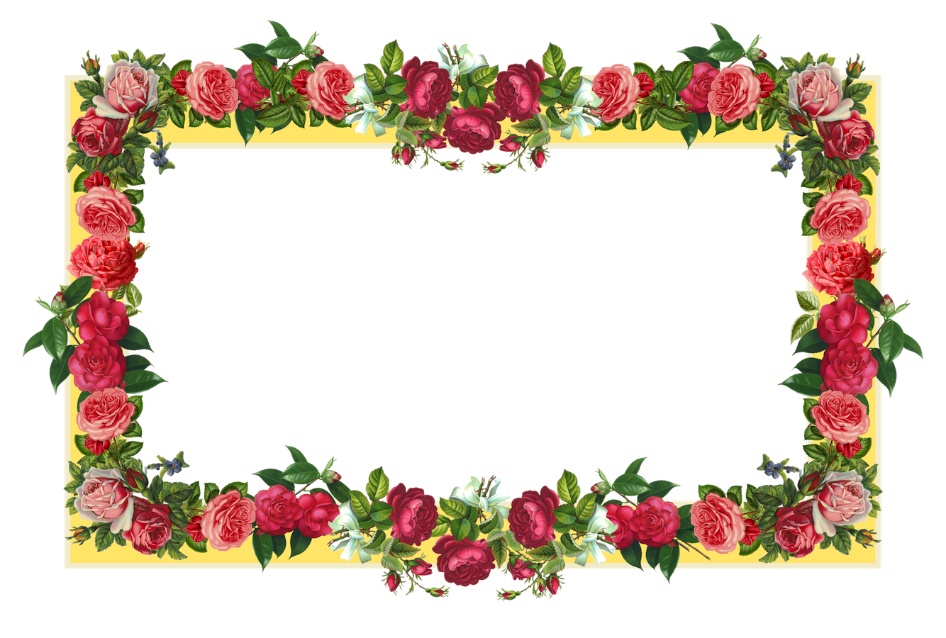 Download PNG image - Red Flower Frame PNG Photos 