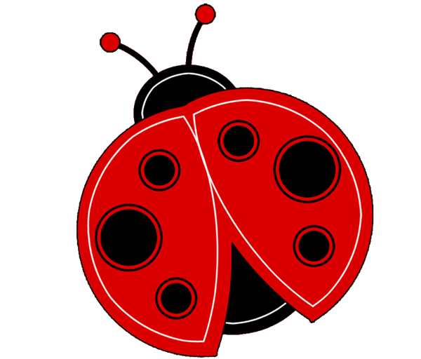 Download PNG image - Red Ladybug PNG Clipart 