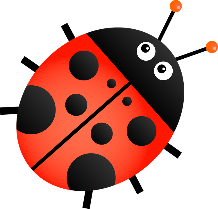 Download PNG image - Red Ladybug Transparent Background 