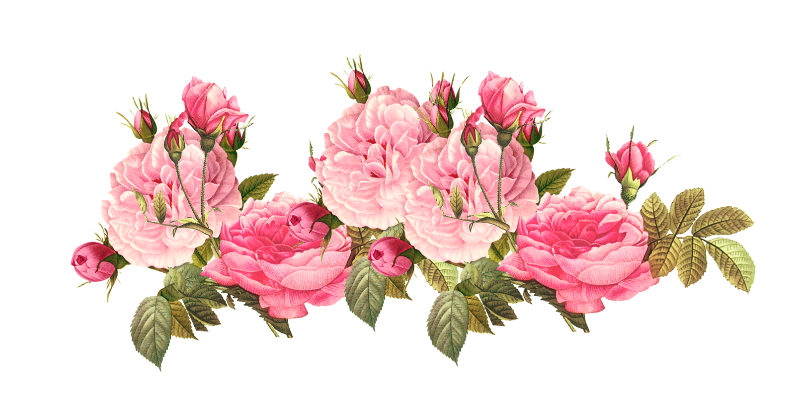 Download PNG image - Romantic Pink Flower Border PNG Photos 
