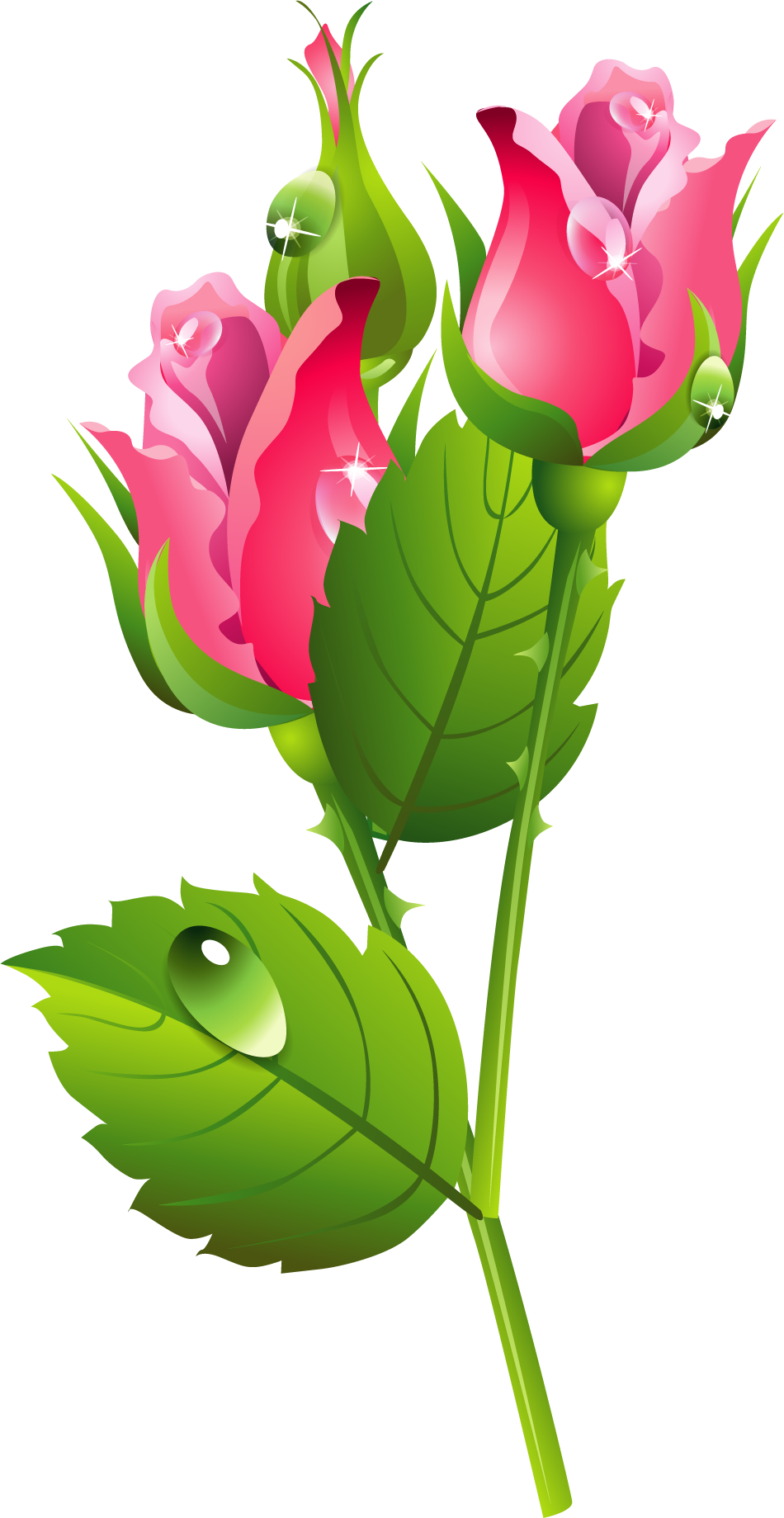 Download PNG image - Romantic Pink Flower Border PNG Transparent Image 