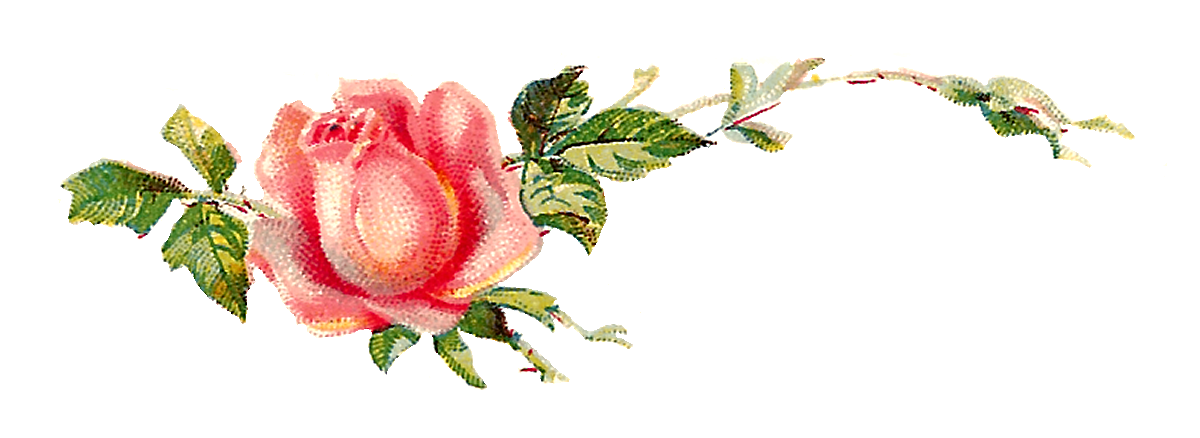 Download PNG image - Romantic Pink Flower Border Transparent Images PNG 