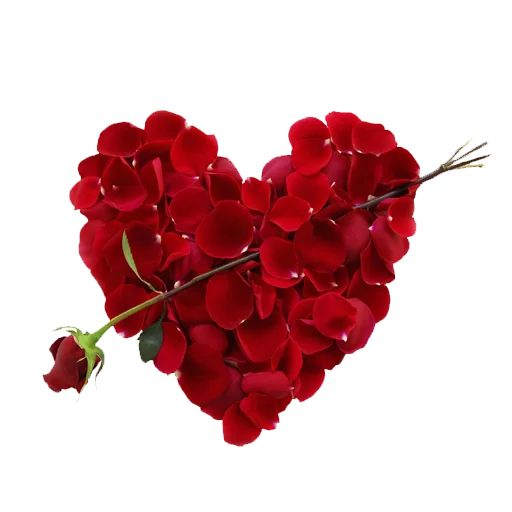 Download PNG image - Rose Heart PNG Free Download 