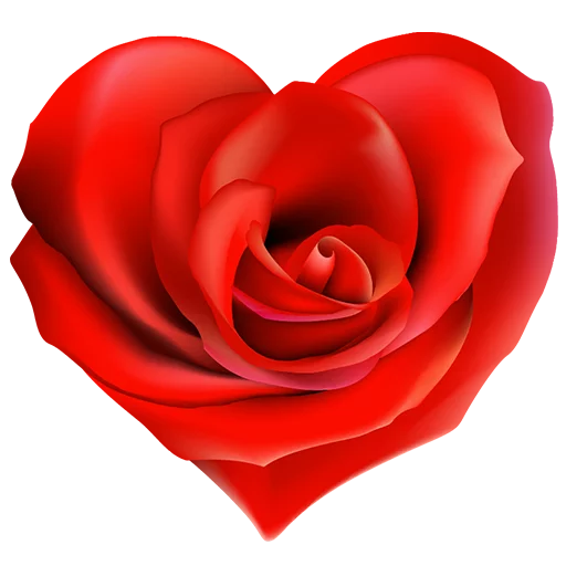 Download PNG image - Rose Heart PNG Photos 