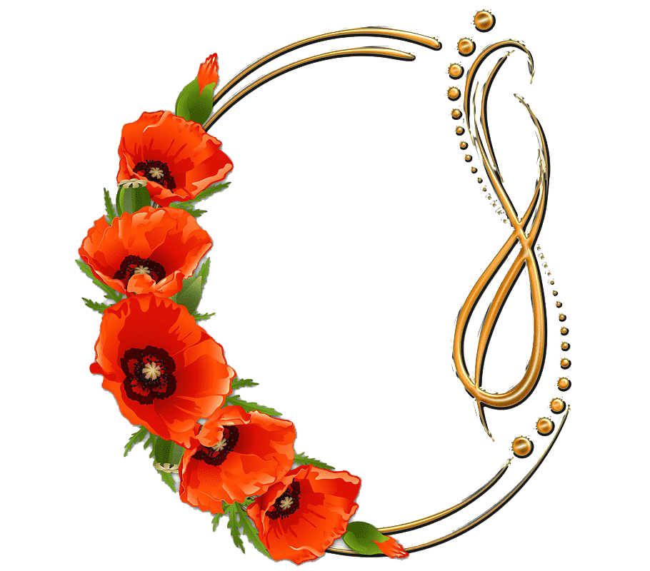 Download PNG image - Round Poppy Flower Frame PNG File 