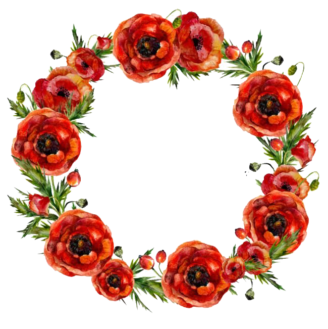 Download PNG image - Round Poppy Flower Frame PNG Image 