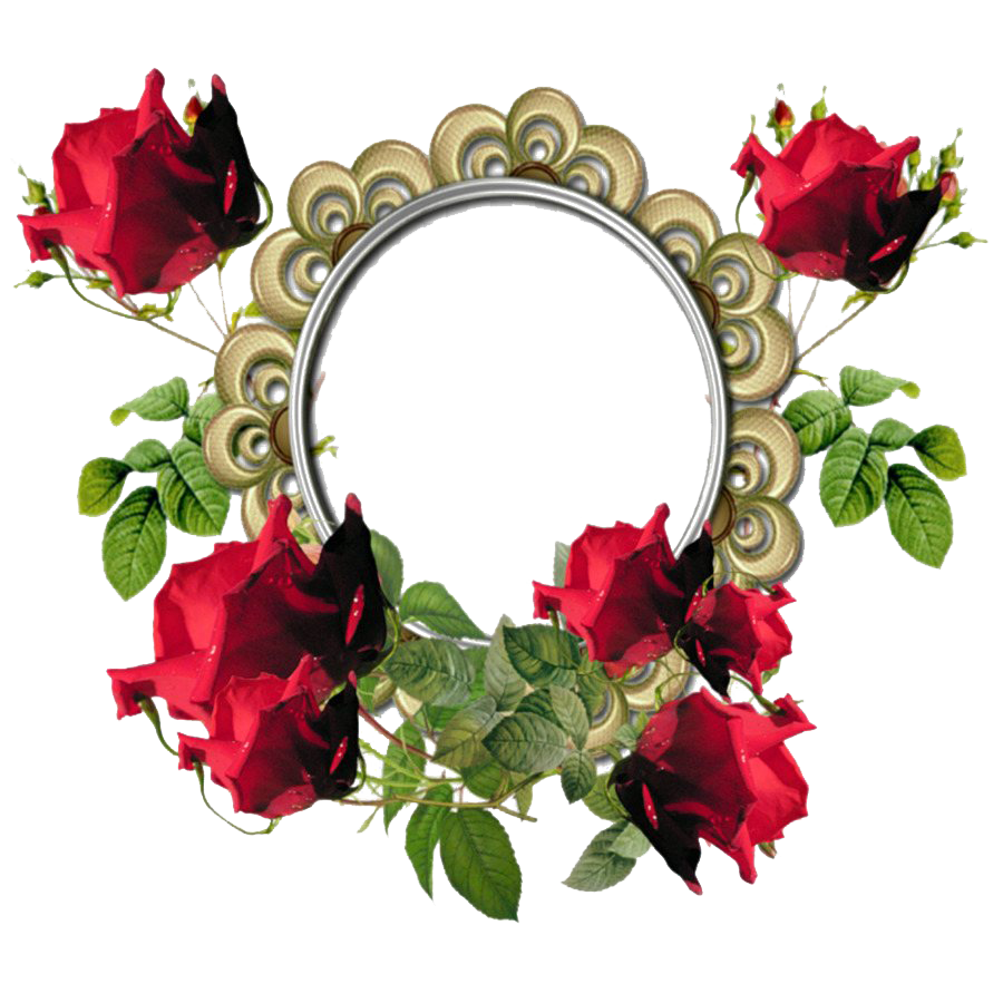 Download PNG image - Round Poppy Flower Frame PNG Transparent Image 