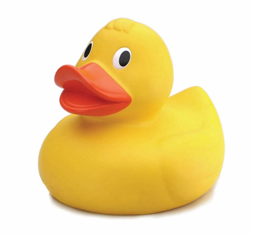 Download PNG image - Rubber Duck PNG Photo 